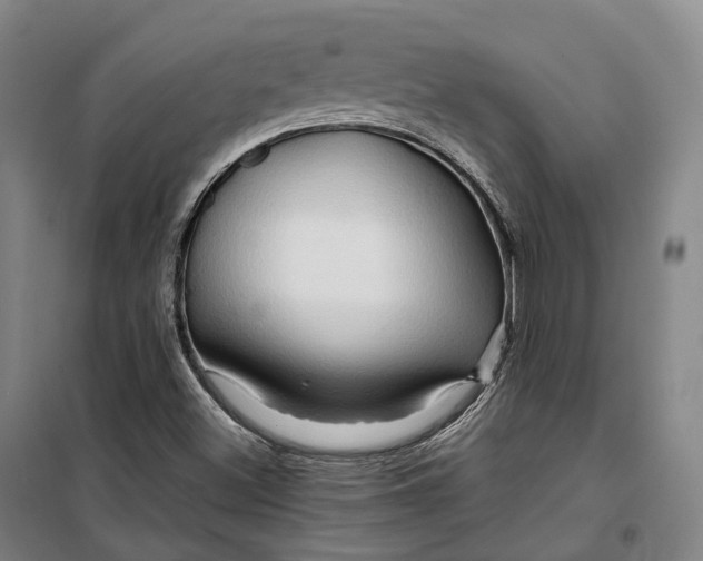 X0000099571500200806061550