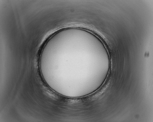 X0000099571501200806061550