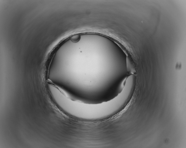 X0000099571502200806061550