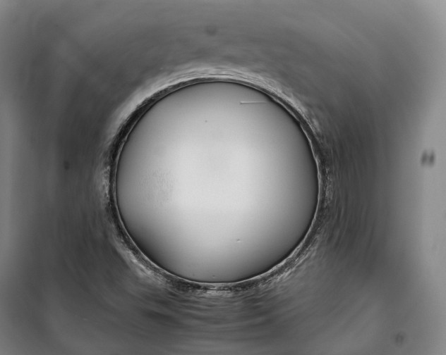 X0000099571503200806061550