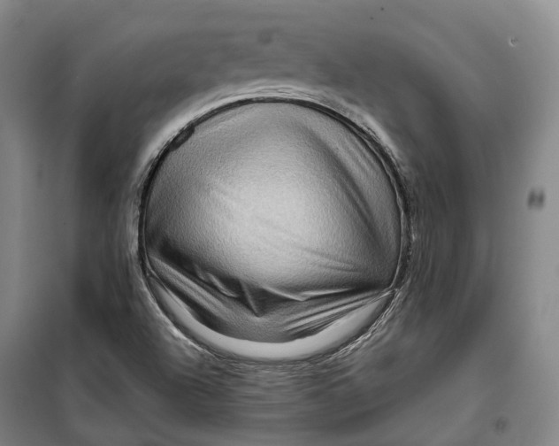 X0000099571504200806061550