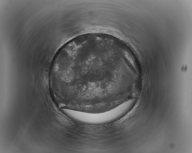 X0000099571505200806061550