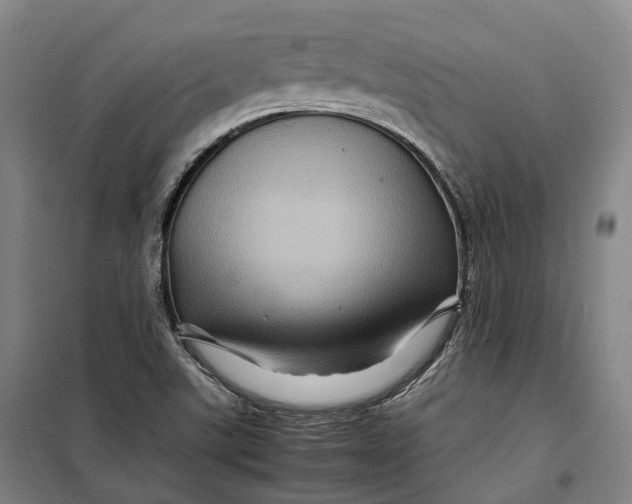 X0000099571507200806061550