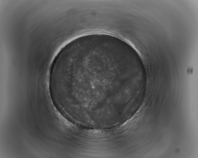 X0000099571508200806061550