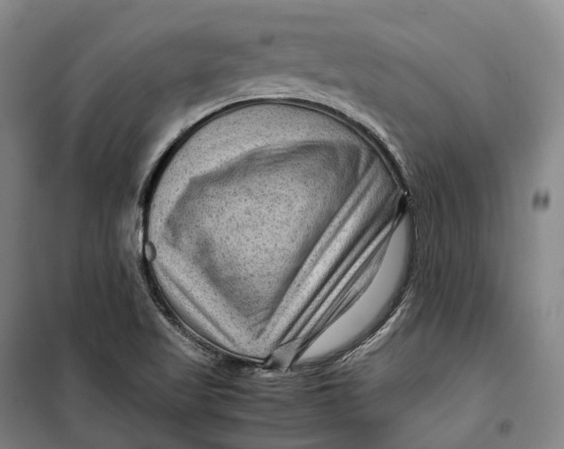 X0000099571509200806061550