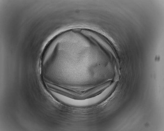 X0000099571510200806061550