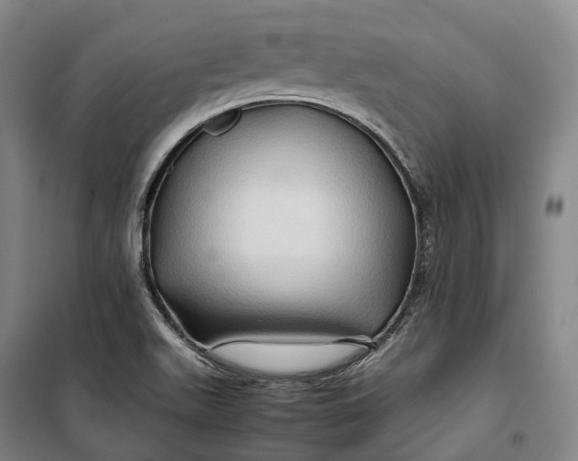 X0000099571511200806061550