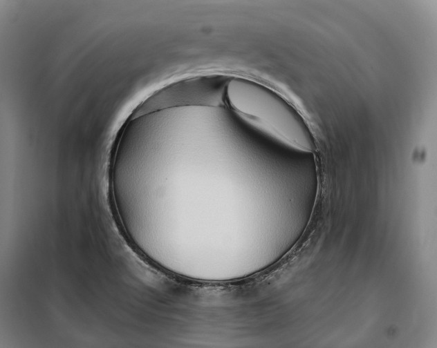 X0000099571512200806061550