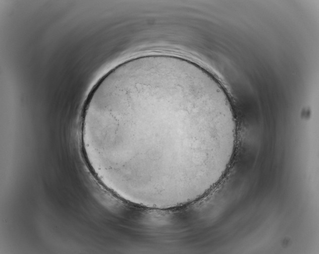 X0000099571514200806061551