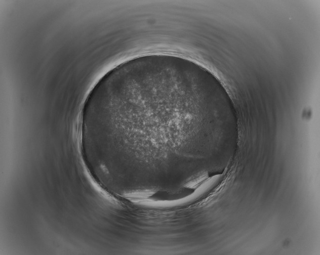 X0000099571515200806061551