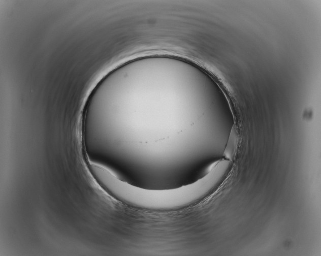 X0000099571516200806061551