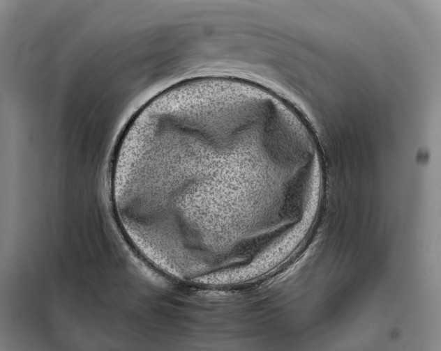 X0000099571517200806061551