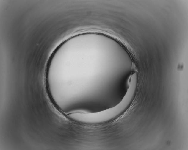 X0000099571518200806061551