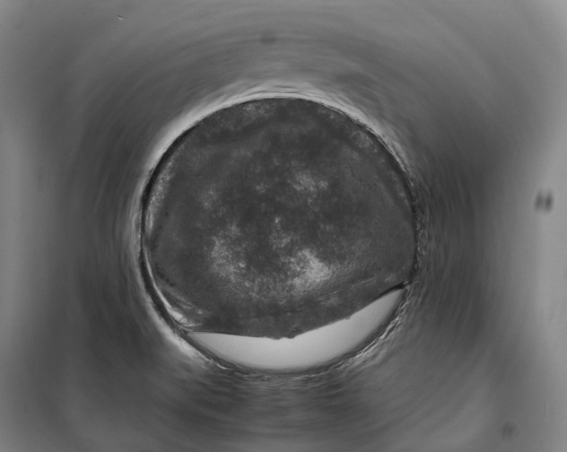 X0000099571519200806061551