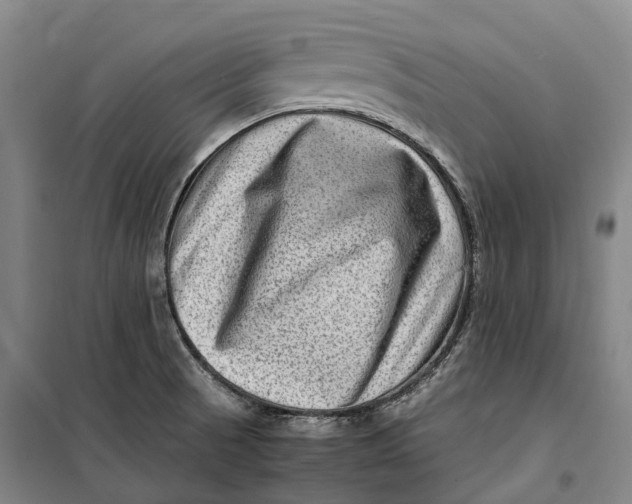 X0000099571521200806061551
