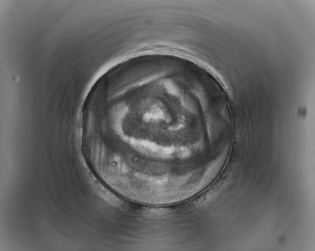 X0000099571522200806061551