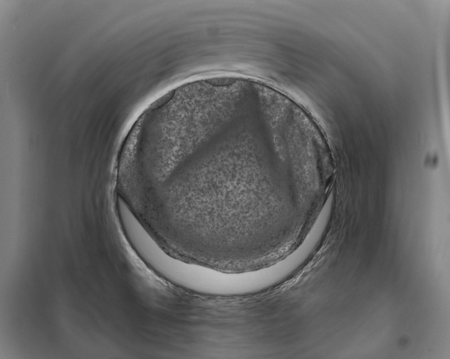 X0000099571524200806061551