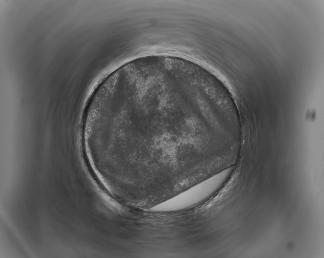 X0000099571525200806061551