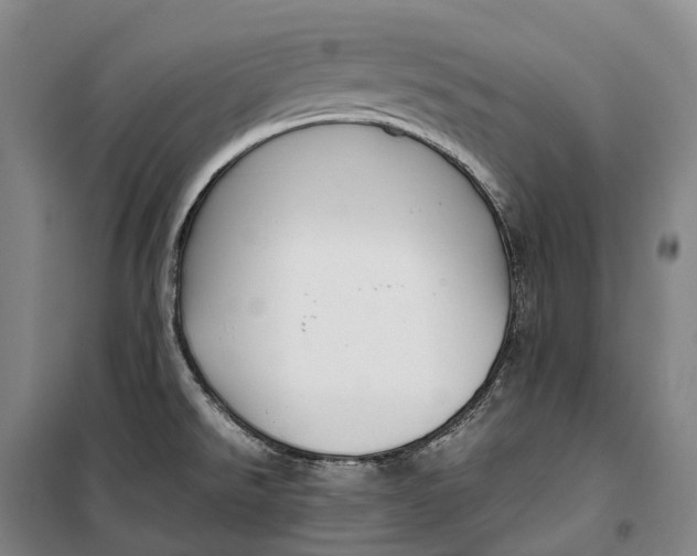 X0000099571526200806061551