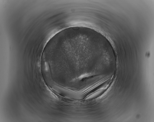 X0000099571529200806061551