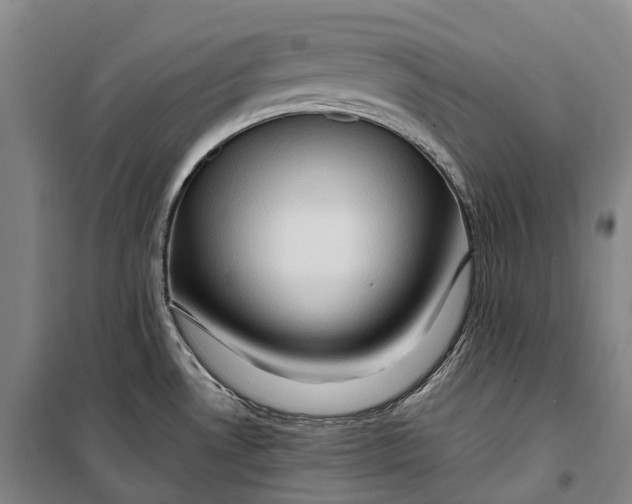 X0000099571530200806061551