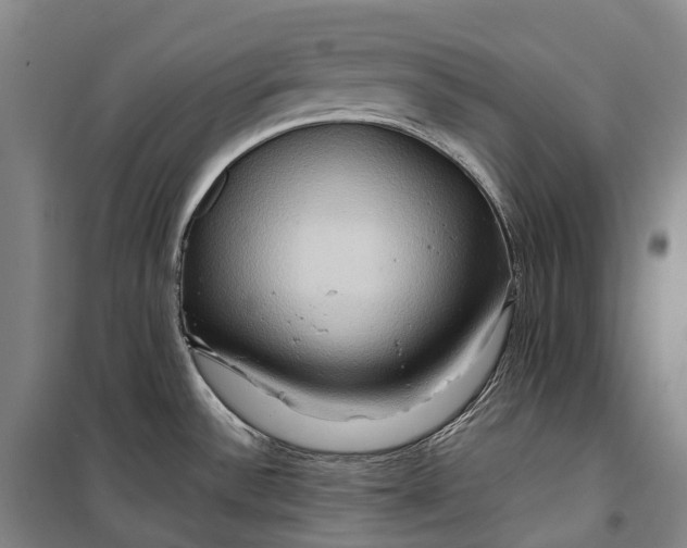 X0000099571532200806061551