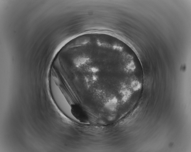 X0000099571533200806061551