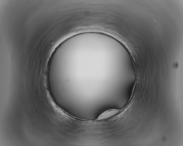 X0000099571534200806061551