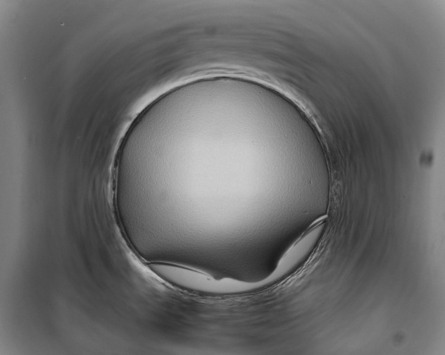 X0000099571535200806061551