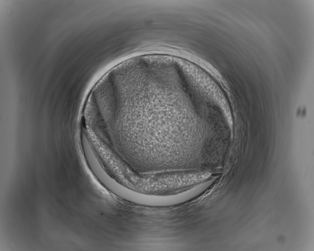 X0000099571536200806061551