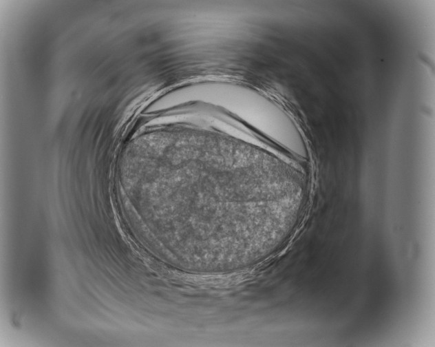 X0000099570001200806131306
