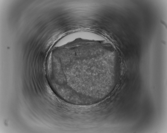 X0000099570002200806131306