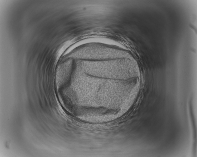 X0000099570003200806131306