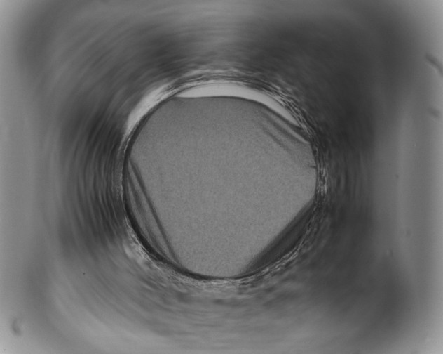 X0000099570004200806131306