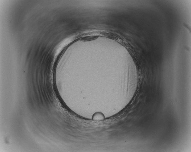 X0000099570006200806131306
