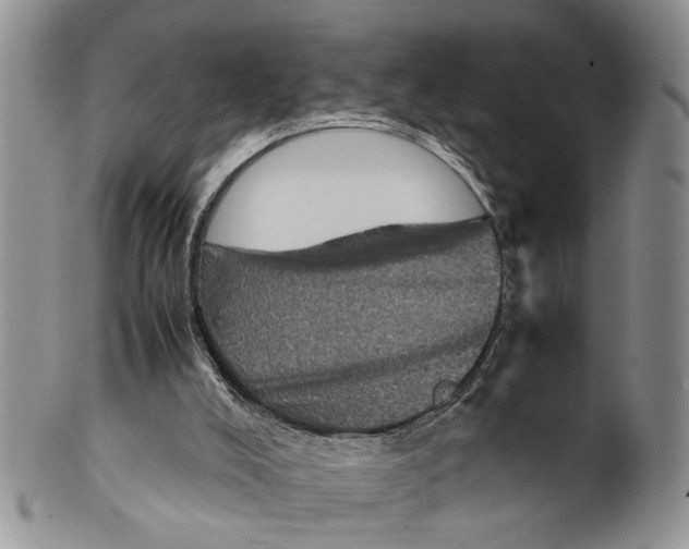 X0000099570008200806131306