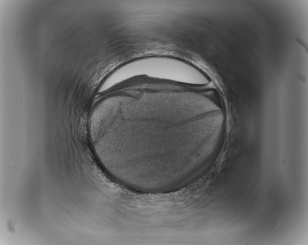 X0000099570009200806131306