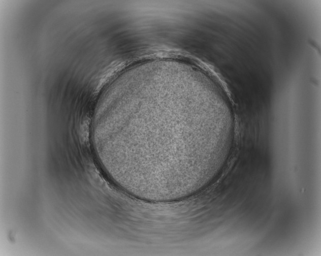 X0000099570010200806131306