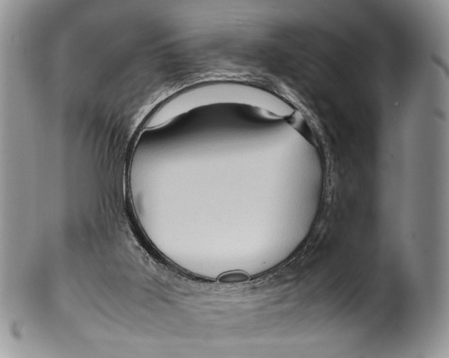 X0000099570011200806131306