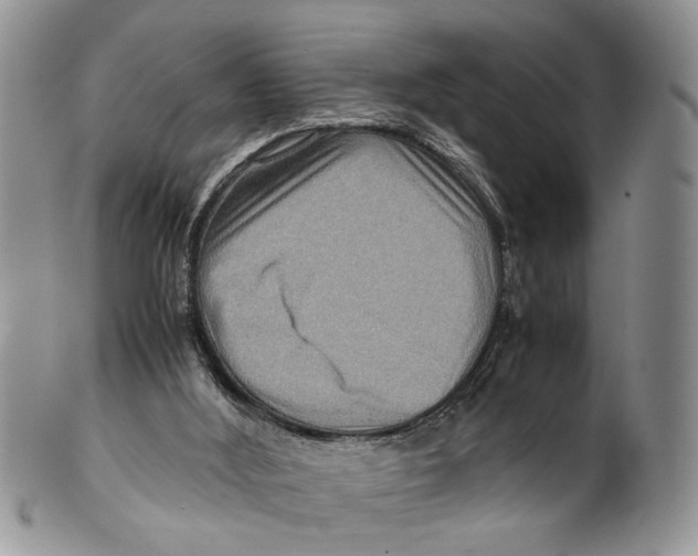 X0000099570012200806131306