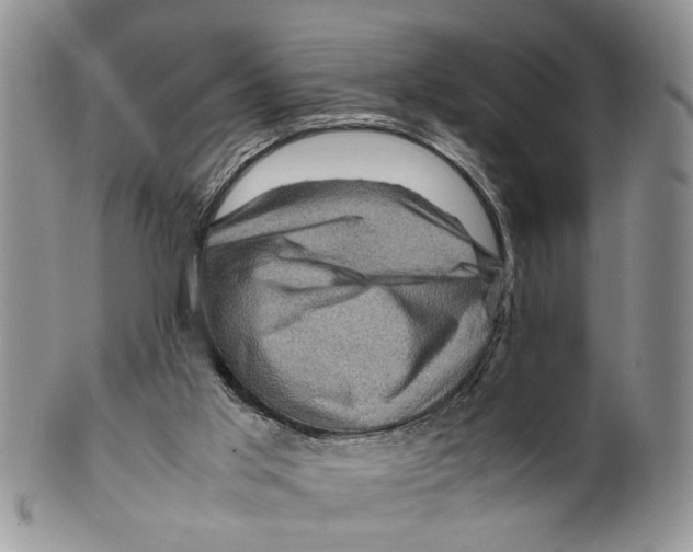 X0000099570013200806131306