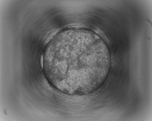 X0000099570014200806131306