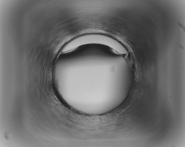 X0000099570015200806131306