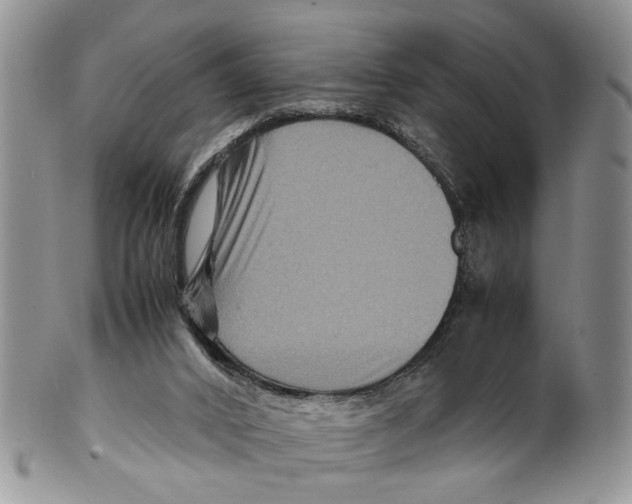 X0000099570016200806131306