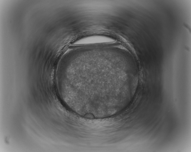 X0000099570018200806131306