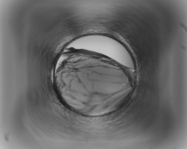 X0000099570019200806131306