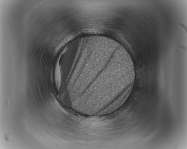 X0000099570020200806131306