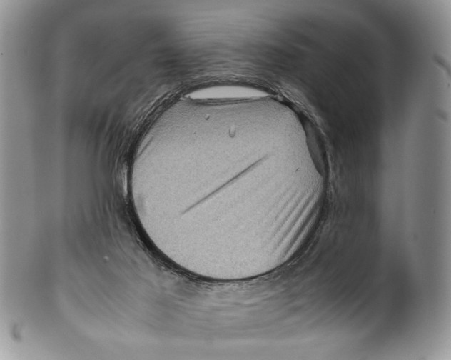 X0000099570021200806131306