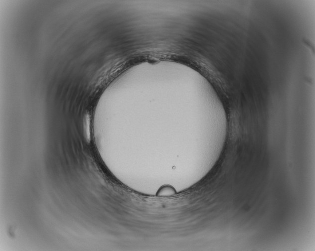 X0000099570022200806131306