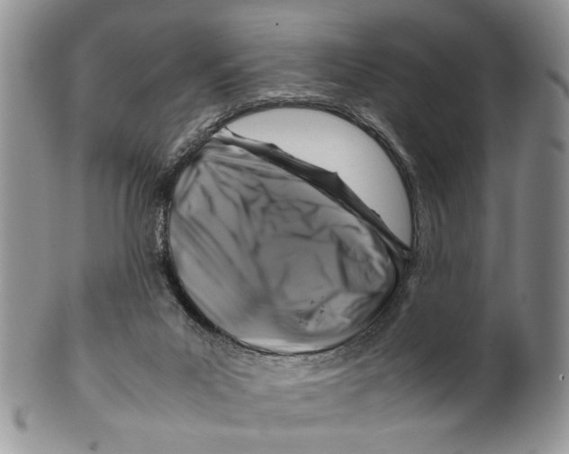 X0000099570023200806131306